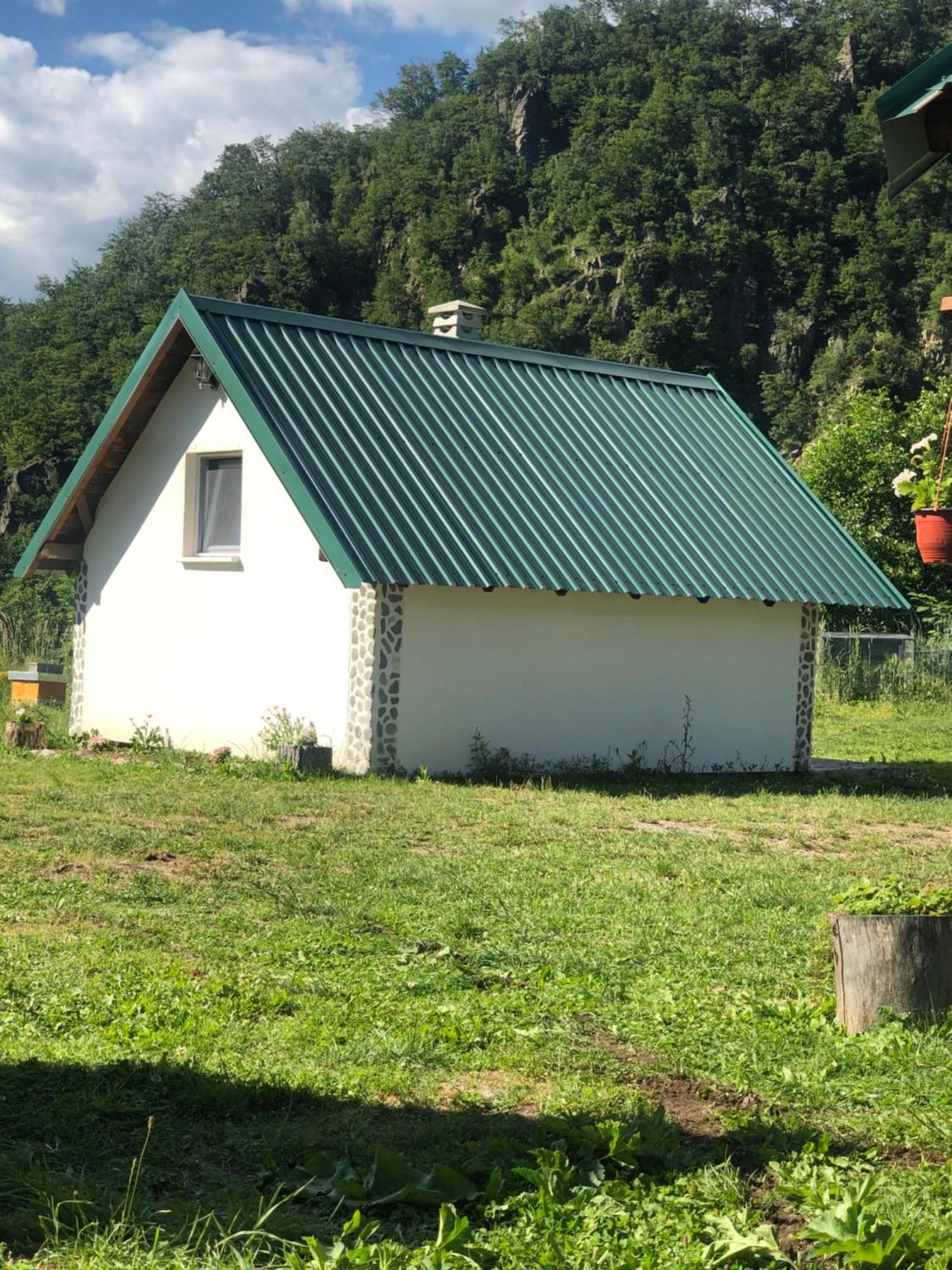 Private Accommodation Kalezic Mojkovac Exterior foto